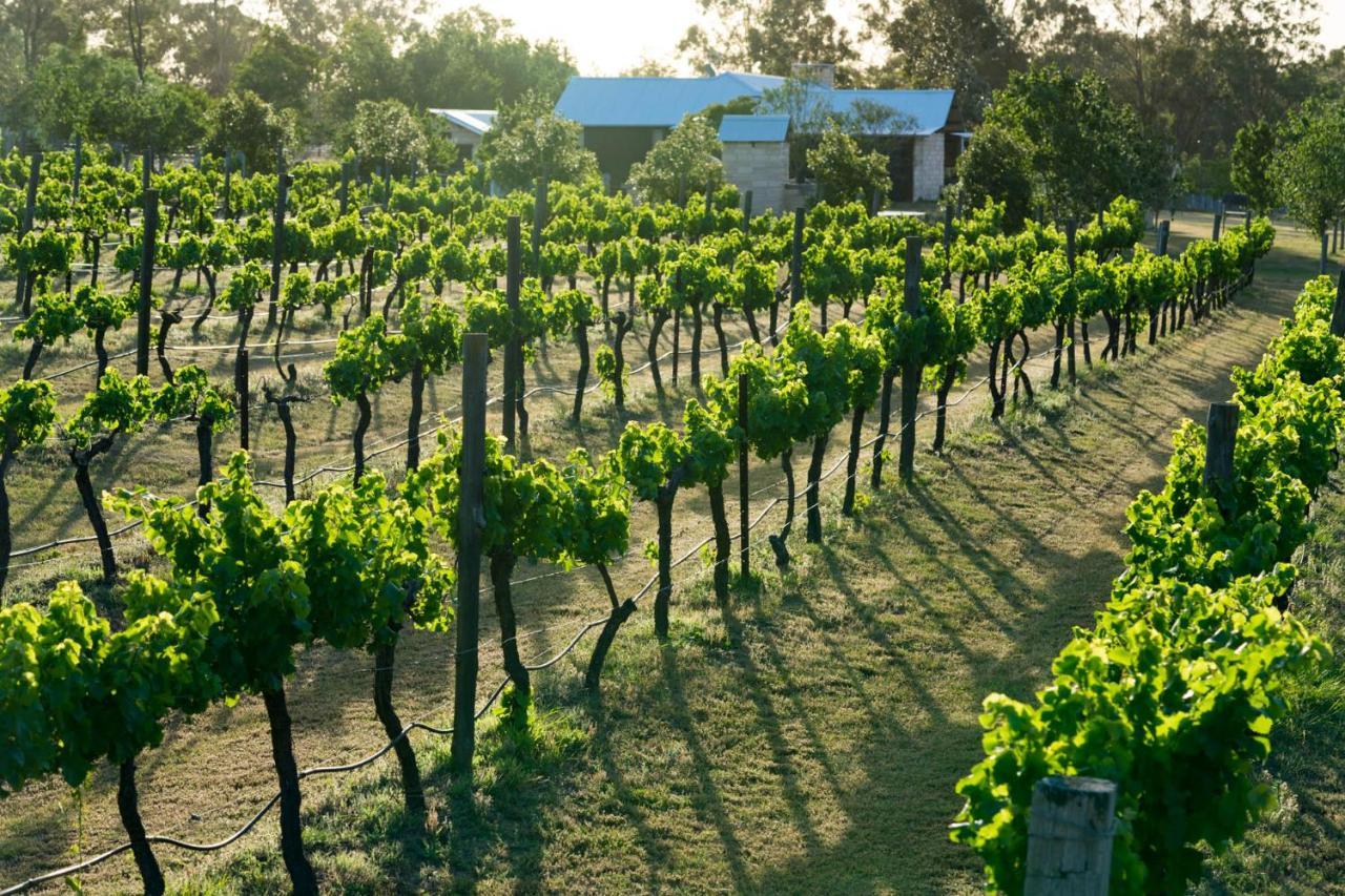 Thistle Hill Guesthouse - Walk To Many Wineries And Restaurants Поколбин Екстериор снимка