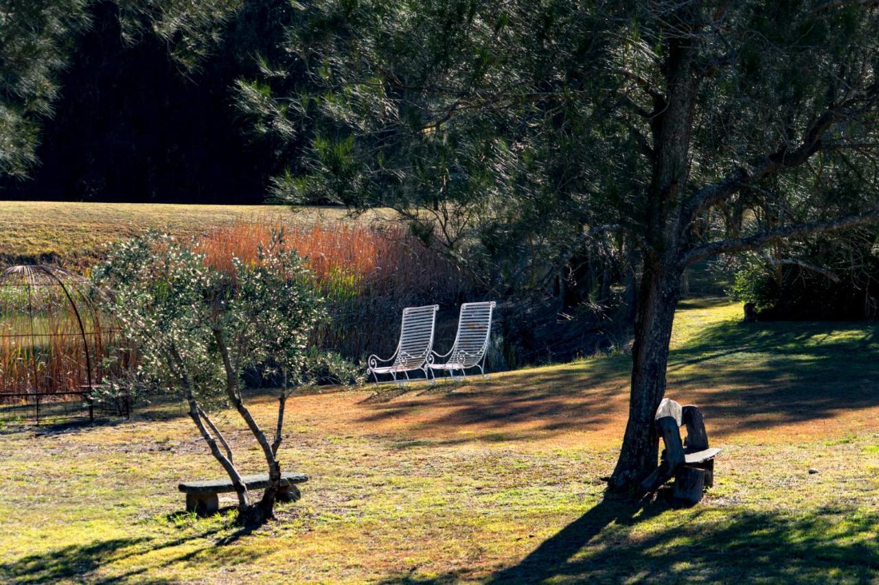 Thistle Hill Guesthouse - Walk To Many Wineries And Restaurants Поколбин Екстериор снимка
