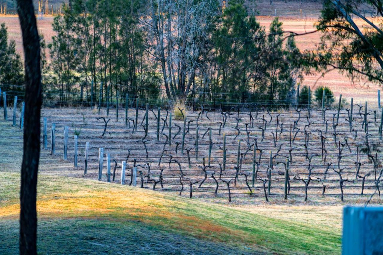 Thistle Hill Guesthouse - Walk To Many Wineries And Restaurants Поколбин Екстериор снимка