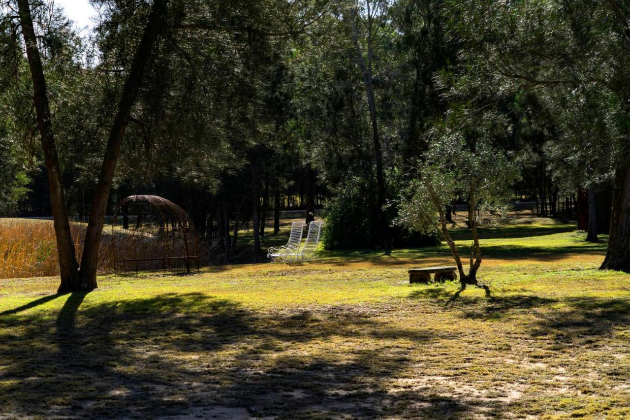 Thistle Hill Guesthouse - Walk To Many Wineries And Restaurants Поколбин Екстериор снимка