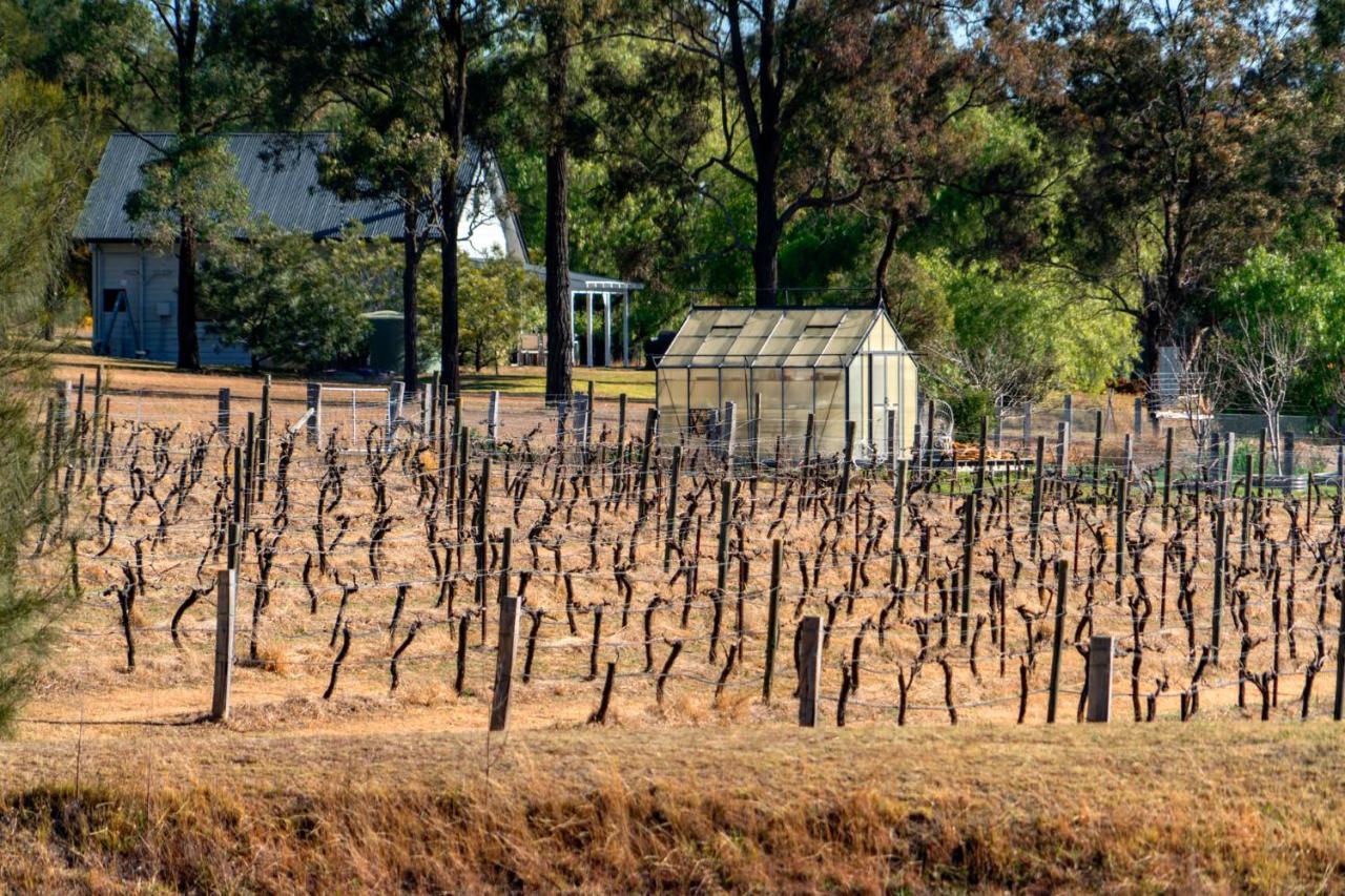 Thistle Hill Guesthouse - Walk To Many Wineries And Restaurants Поколбин Екстериор снимка
