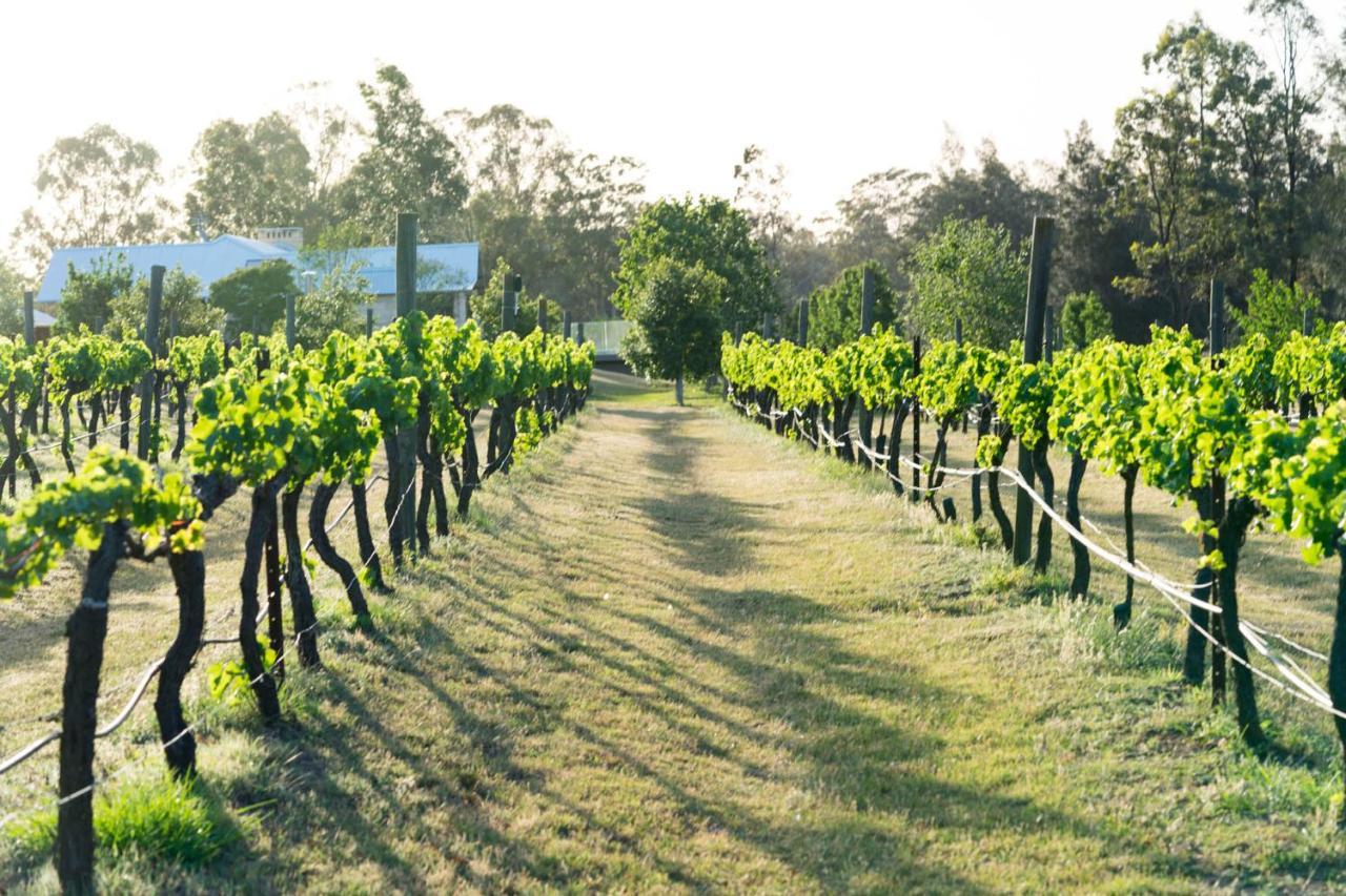Thistle Hill Guesthouse - Walk To Many Wineries And Restaurants Поколбин Екстериор снимка
